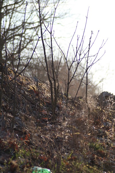 Na Osmě 31.3-1.4.08